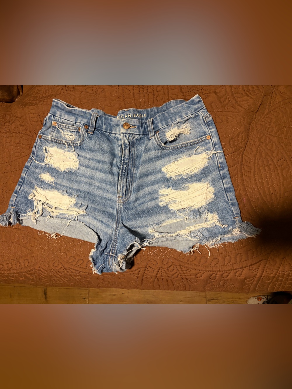 American Eagle Outfitters Distressed Medium Blue Ripped Denim Shorts